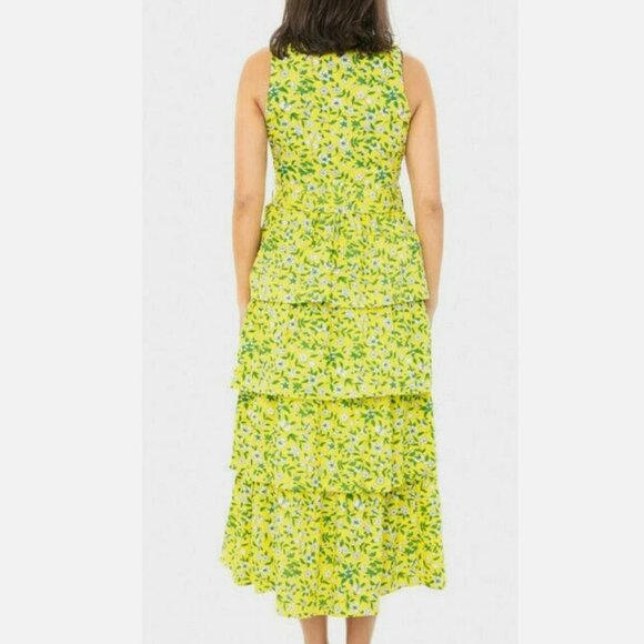 Banjanan Eliza Dress Audrey Sprig Aurora Cotton Poplin Midi - Picture 3 of 10